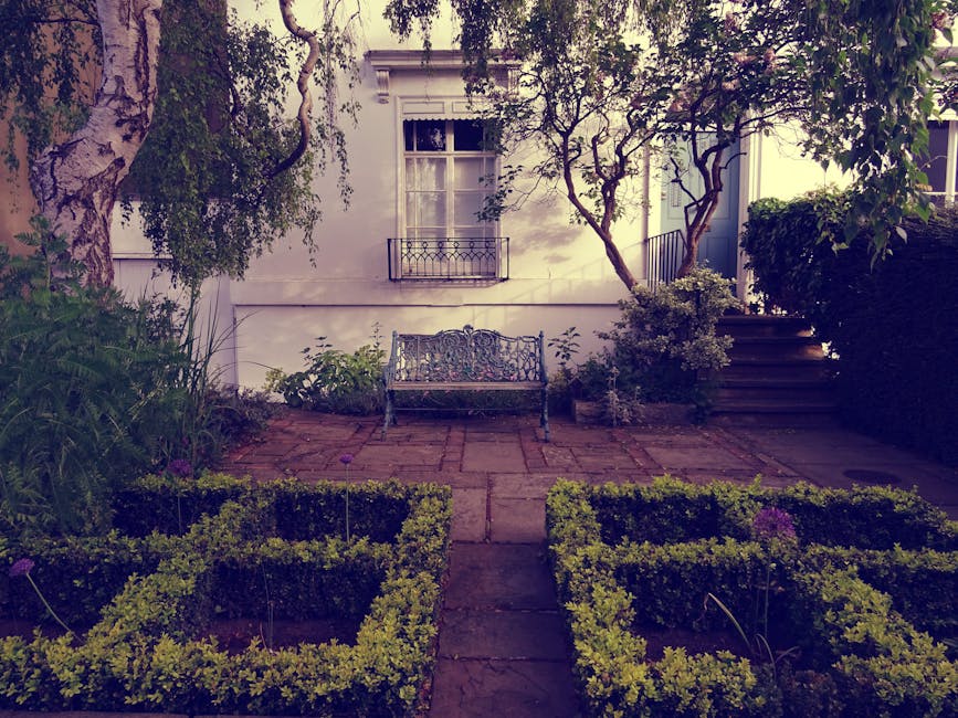 A small, well-maintained garden with a paved brick pathway leading to a decorative metal bench positioned against a white exterior wall of a building. The garden features neatly trimmed hedges forming rectangular borders along the front, with small flowering plants inside the beds. To the left, lush green foliage and tall plants grow beside a large tree with textured, peeling bark. On the right, a set of steps bordered by a dense hedge and a potted shrub leads up to an elevated area. The environment appears to be natural and peaceful, with soft evening light casting gentle shadows across the scene. Garden tools or signs of recent landscaping work are not visible, but the overall appearance suggests regular maintenance by professionals such as Gardeners Maida Vale, emphasizing garden upkeep, pruning, and landscaping work.